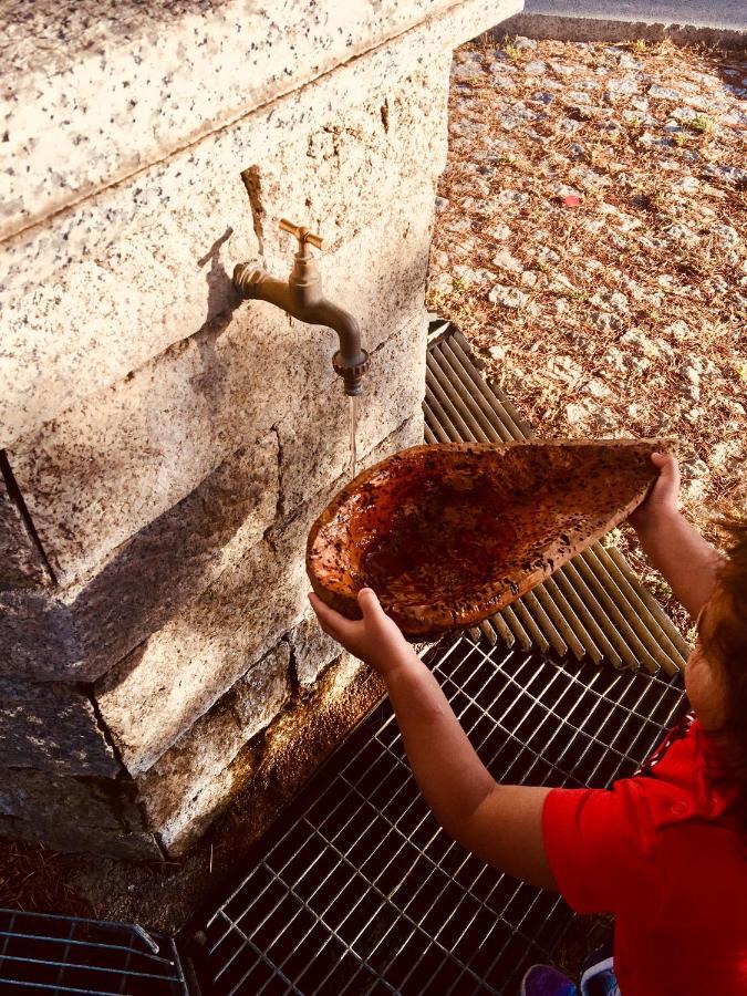 La Vecchia Posta B&B Calangianus Ngoại thất bức ảnh